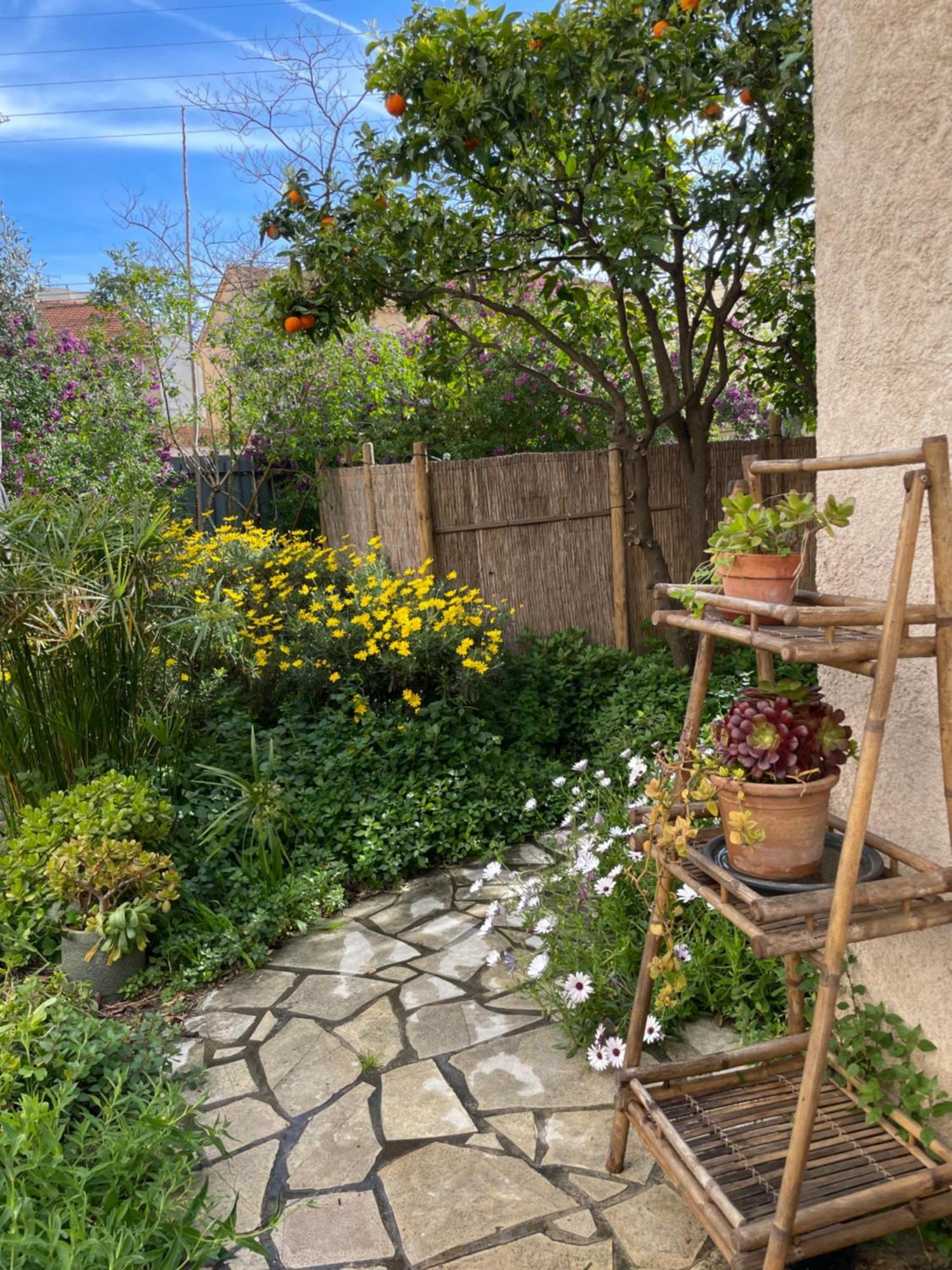 2 Appartements Calmes Frejus Bagian luar foto