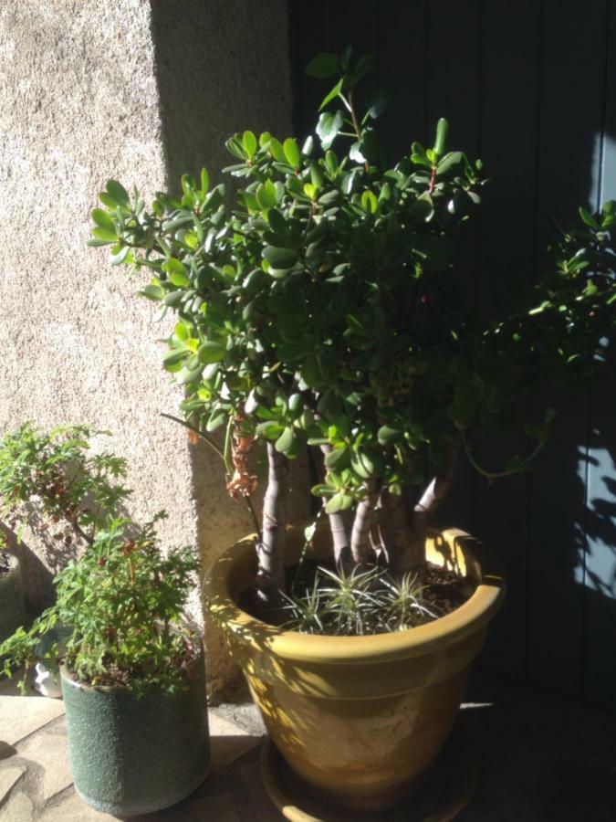 2 Appartements Calmes Frejus Bagian luar foto