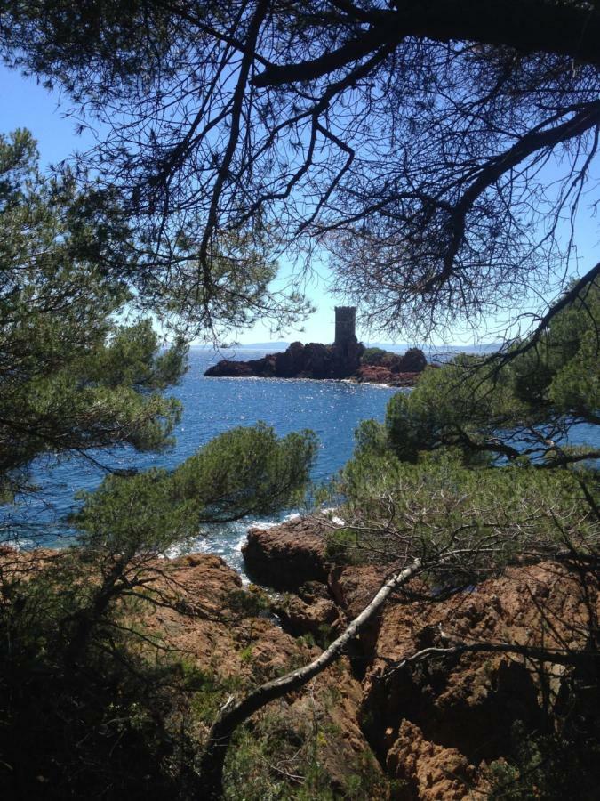 2 Appartements Calmes Frejus Bagian luar foto