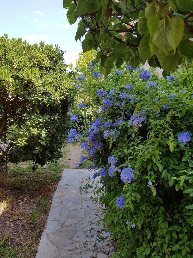 2 Appartements Calmes Frejus Bagian luar foto