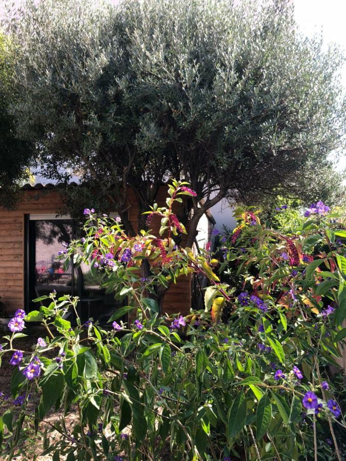 2 Appartements Calmes Frejus Bagian luar foto